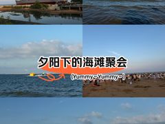 -日照海滨国家森林公园
