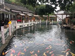 -湖鲜楼