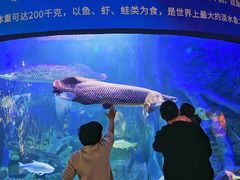 -江和美海洋公园