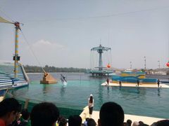 -秦皇岛乐岛海洋王国