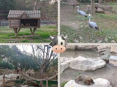-上海野生动物园