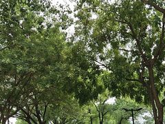 -中国农科院国家农业科技展示园