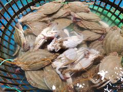 -盒马鲜生(悦峰店)