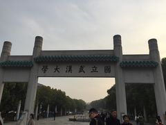 -武汉大学-樱园