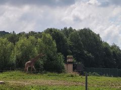 -哈尔滨北方森林动物园