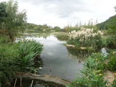 -贵阳市花溪国家城市湿地公园