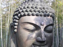 -杭州植物园