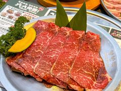 -农乐园炭火烤肉(繁花中心店)