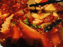 -星·South Beauty·俏江南(国贸店)