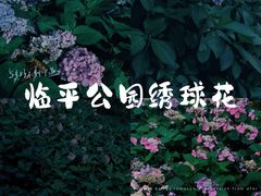 -临平公园(临平街道)