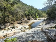 -海南霸王岭国家森林公园