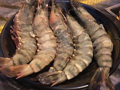 -熊出没日本烧肉放题