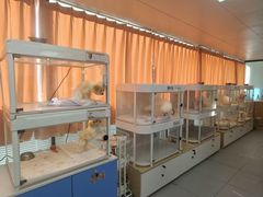 -翊宠yipet猫狗购宠庄园犬舍•猫舍