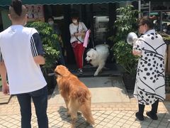 -爱侣宠医·鹦鹉专科·小型哺乳类·异宠专科(灵石路店)