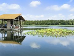 -溱湖国家湿地公园