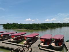 -东寨港红树林旅游区