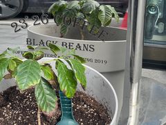 -2326 Coffee Roaster咖啡豆可选店(林肯公园店)