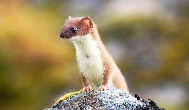 商品:包包 鞋靴 东西倒是没买～本来就没有上班