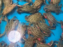 -生鲜便民超市(蚌埠店)