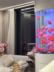 -新蝶变皮肤管理中心