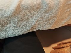 -北京全聚德(方庄店)