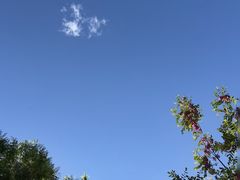 -绿堤公园