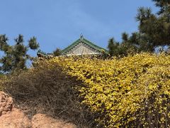 -青岛海滨风景区