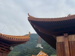 -深圳仙湖植物园