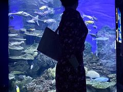 -左海海底世界