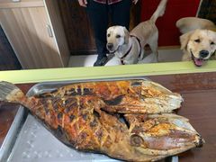 烤鱼-老张烤羊(王哥庄店)