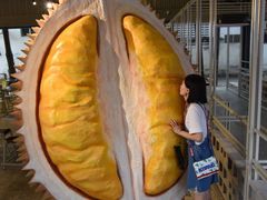 -都念榴莲·城市榴莲