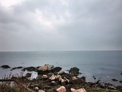 -养马岛旅游度假区