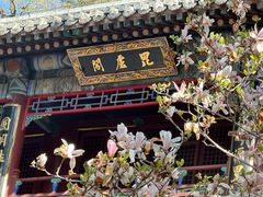 -潭柘寺景区
