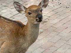 -水上乐园·欢乐世界