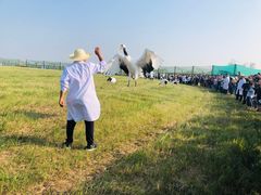 -盐城丹顶鹤湿地生态旅游区
