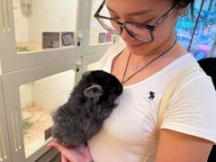 -龙猫仔乐园(惠福东路店)