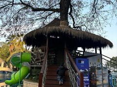 -绿城千岛湖喜来登度假酒店