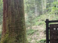 -东天目山风景区