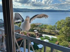 -洞爷湖万世阁酒店