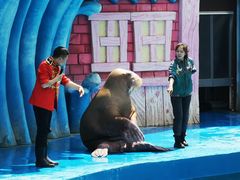 -华夏文旅海洋公园