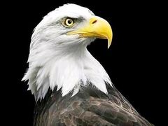 -蟹主隆恩.虾蟹.烧烤.湘菜(渔人码头店)