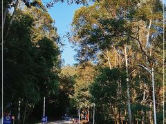 -火炉山森林公园