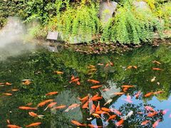景点-黎阳老街