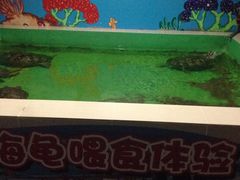 -常州海昌海洋探索馆