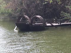 -吴淞炮台湾湿地森林公园烧烤区