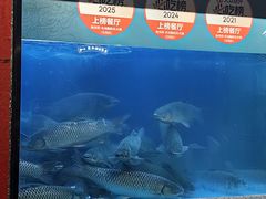 -淘米捞·米汤脆鲩鱼火锅(福田皇岗店)