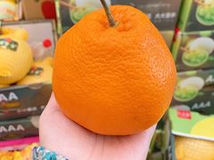 -西郊国际农产品交易中心