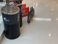 -长沙悦方ID MALL