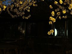 -春风习习