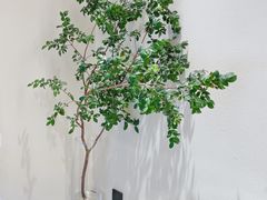 -奈诺甜品·生日蛋糕·下午茶(古城店)